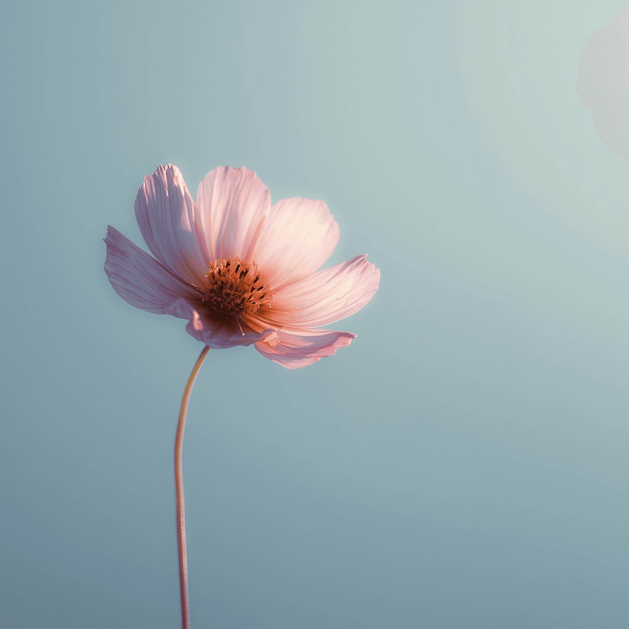 When to Use AI in Your Workflows